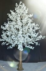 وسایل شهربازی درخت tree